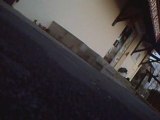 Skate