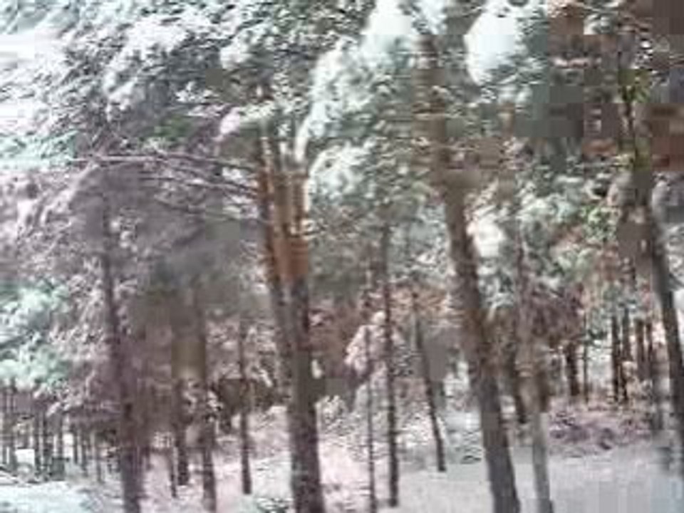 Freelander 2 en nieve