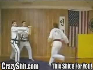 Karate Master Teaches a lesson