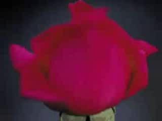 Sen Gel Diye, Ömer Karaoğlu.