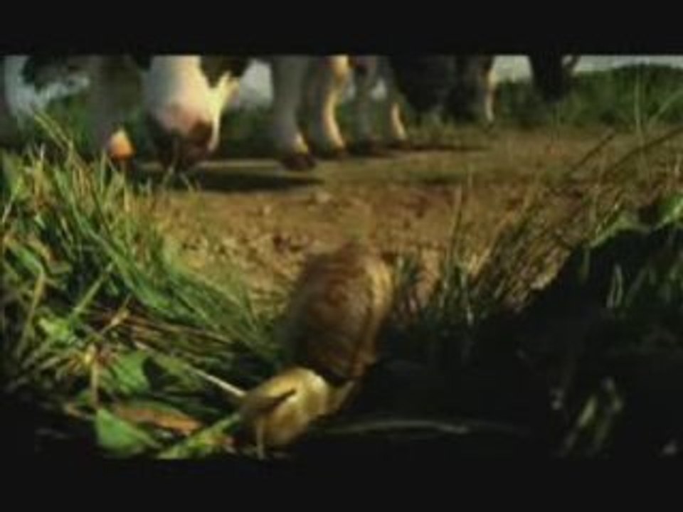 SNAIL1