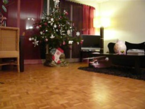 Walkera Heli 4G3 - Petit vol tranquile