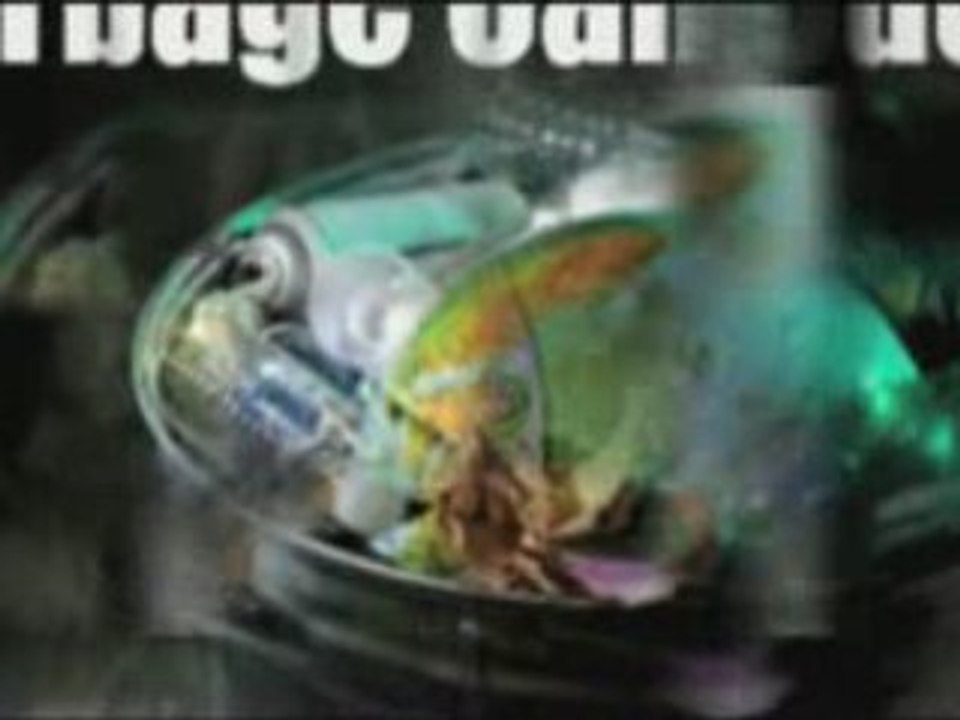 Odor Remover 100% Guaranteed - What-Odor?