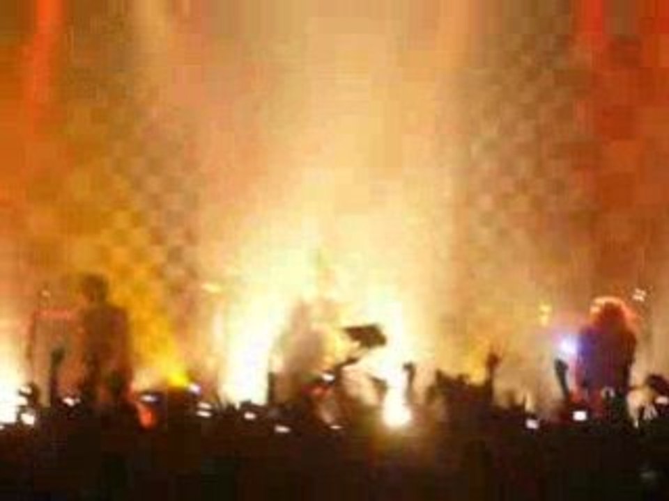 Sommer+ mon beau sapin-killerpilze-20.12.08