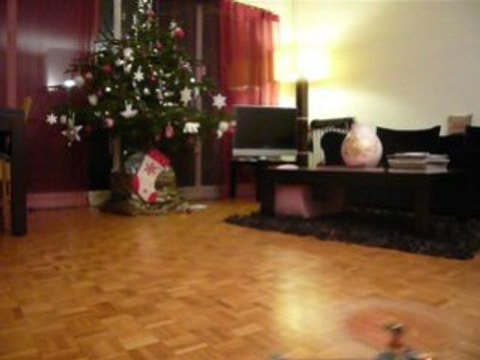 walkera 4G3 Heli - Statio pales recoupées