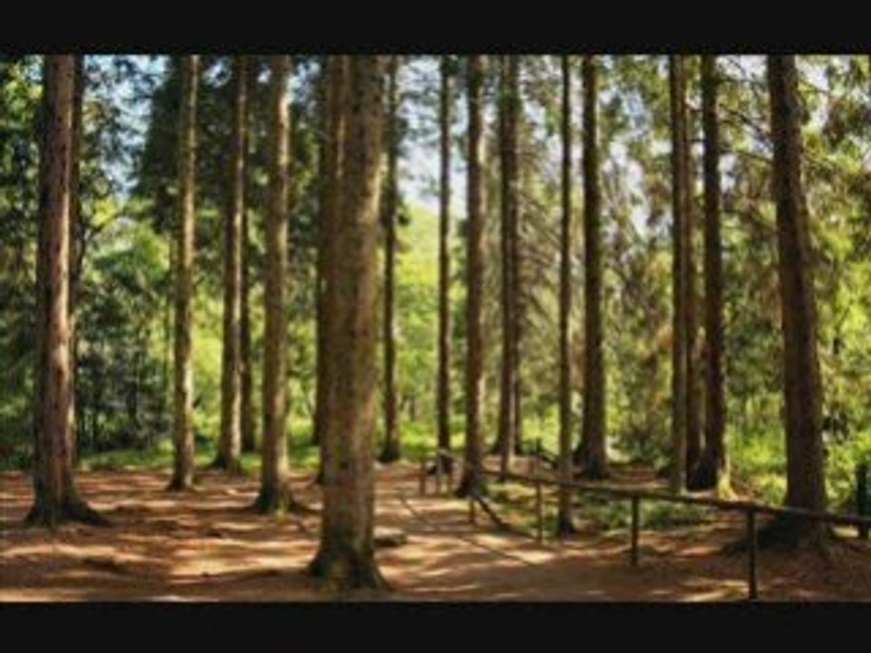 Seyreyle Güzel | Özcan Deniz