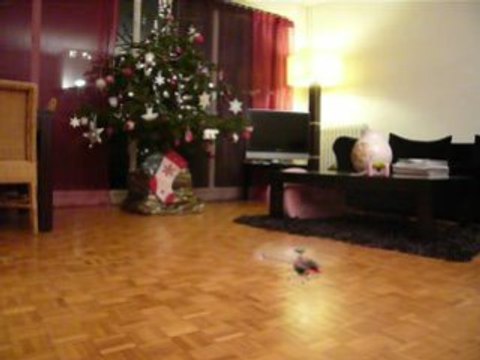 Walkera 4G3 heli - Petit vol tranquille pales bois bis