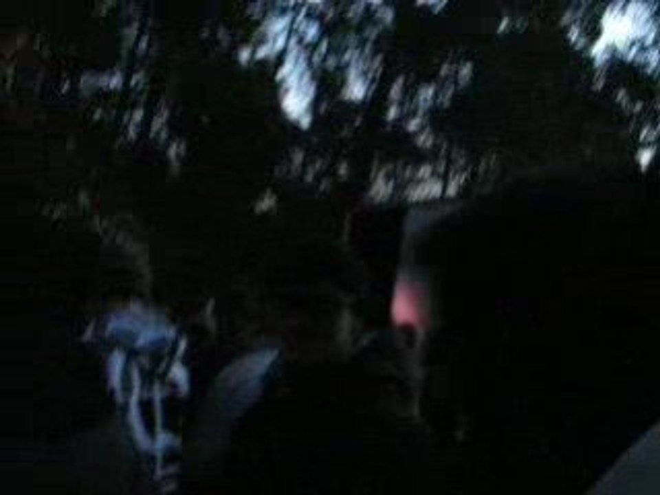 teuf manade NPB prostikor le 20/12/0208