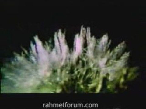 cat stevens Yusuf Islam louanges à ALLAH