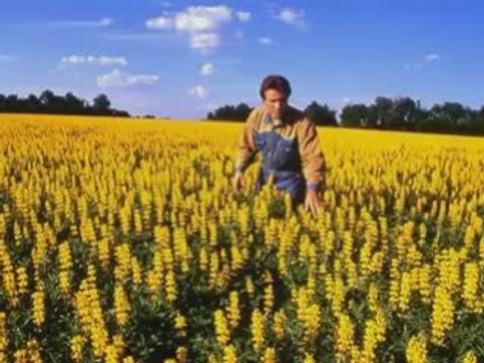 Agrimassacres & Solutions 1/2