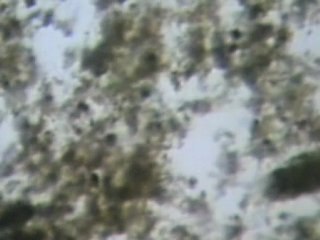 Maison environnement - FLOC