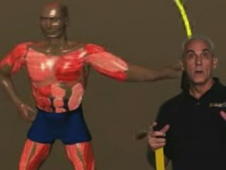 Full-Body Workout: Activate Your Muscles 💪