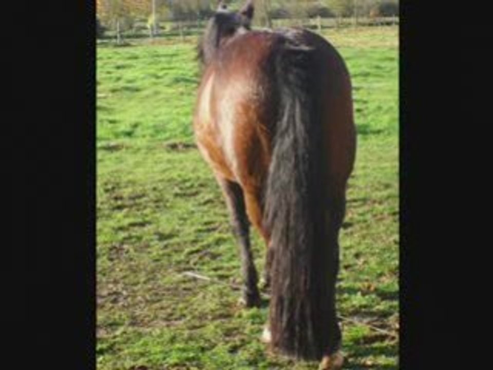 Epsylone, une déesse