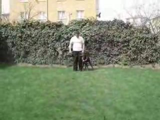 Vonlegal Köpek Eğitim Merkezi | Video - 7