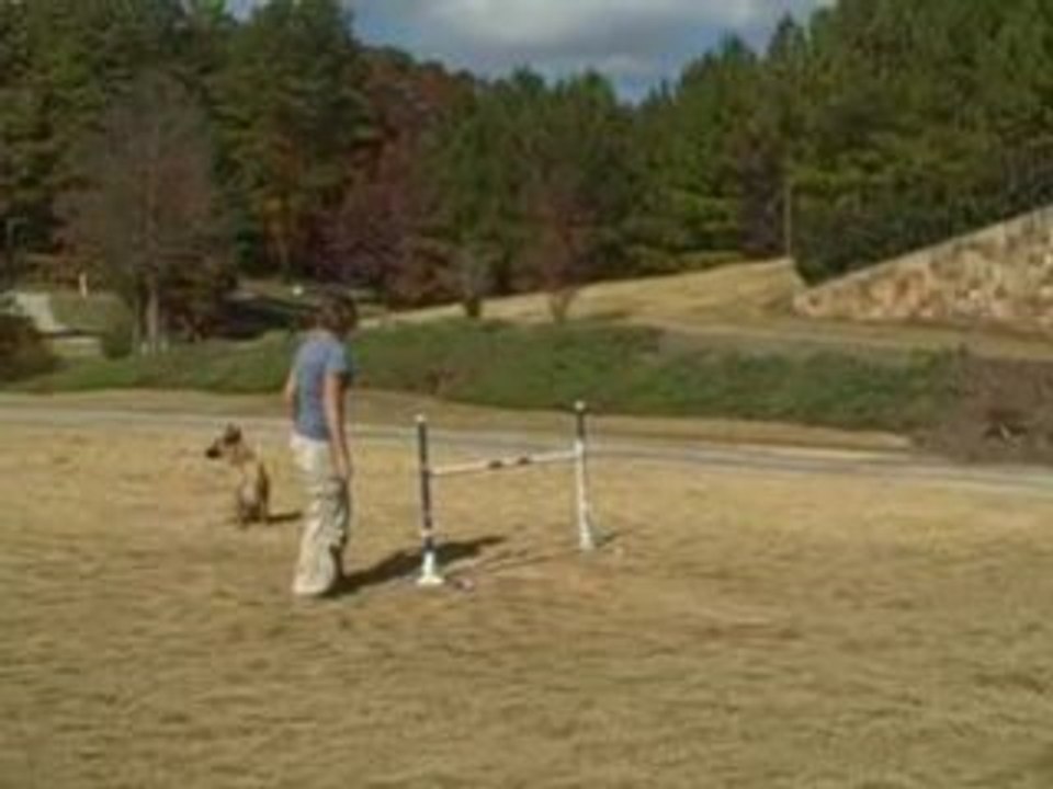 Lilly Agility