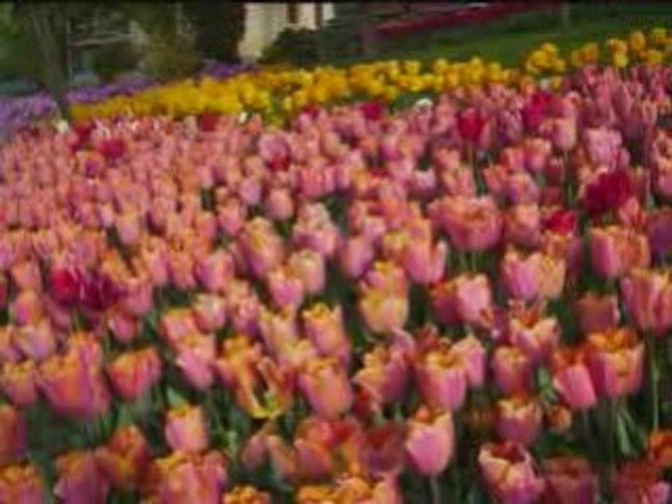 Nefsime Sitem-ilahi-Musa Has