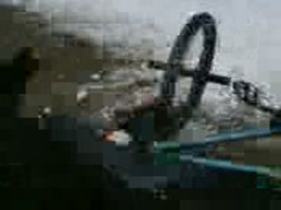 chute yann