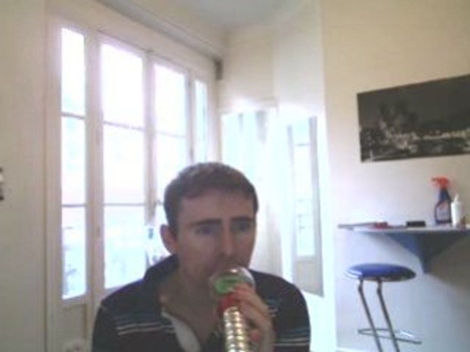 Wiwi égratigne "Des hauts des bas" de Stephan Eicher