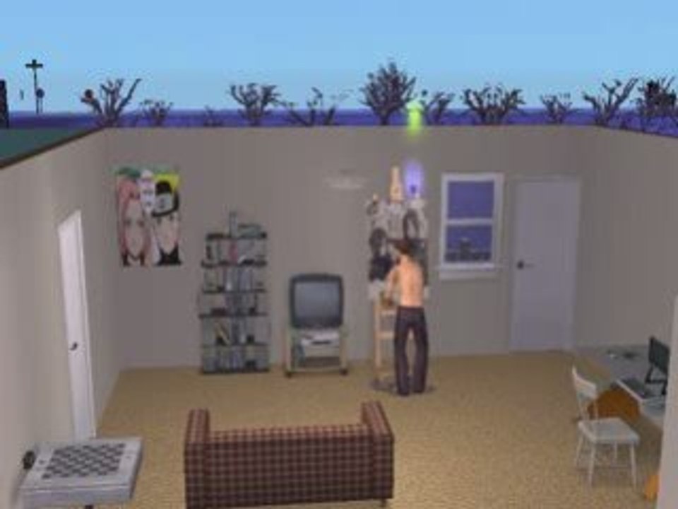 Les sims c'est par un code