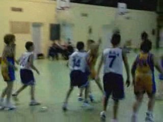 Poussins AbcMx  Saint André