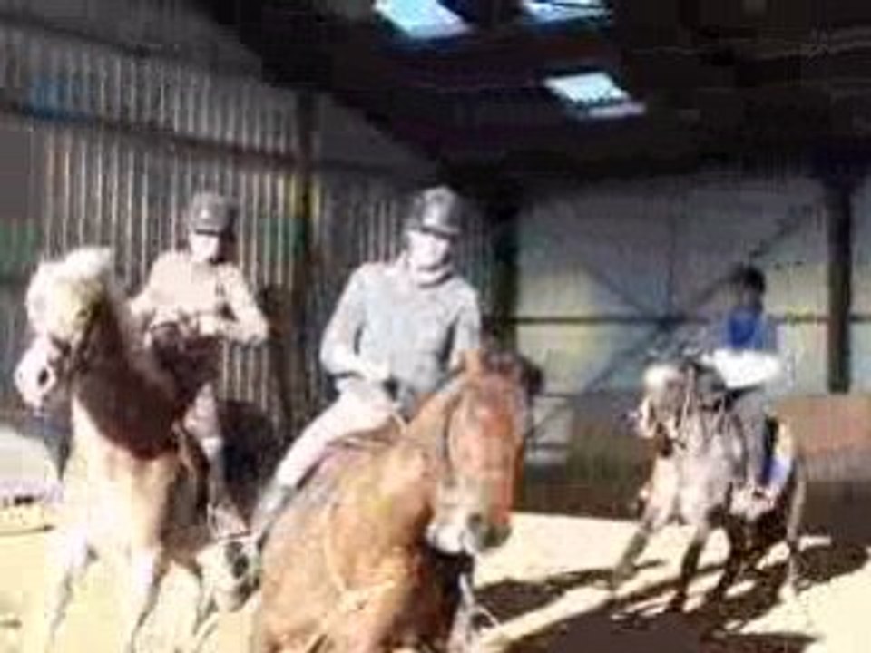 horse ball 2
