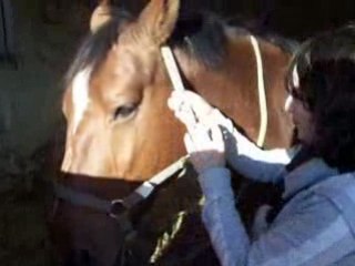 Chouchou listrac grande histoire d amour