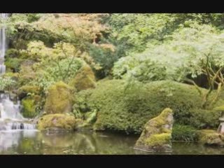 Natural Insomnia Remedy!