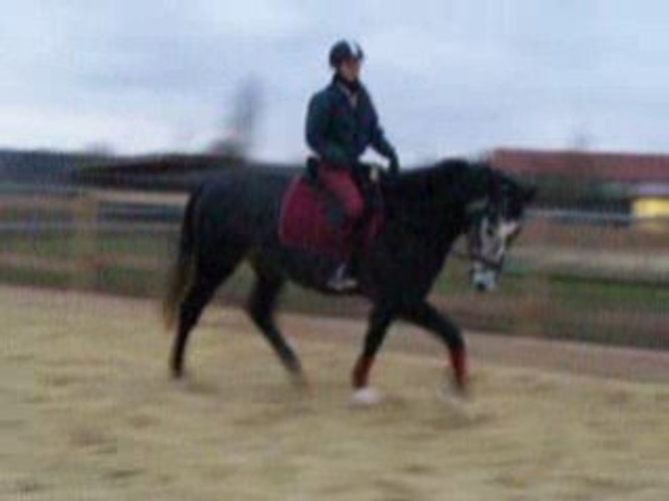 Dimanche21decembre 08 videos 026