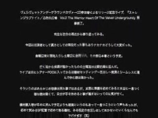 THE WARRIOR HEART of the velvet underground / CD PV