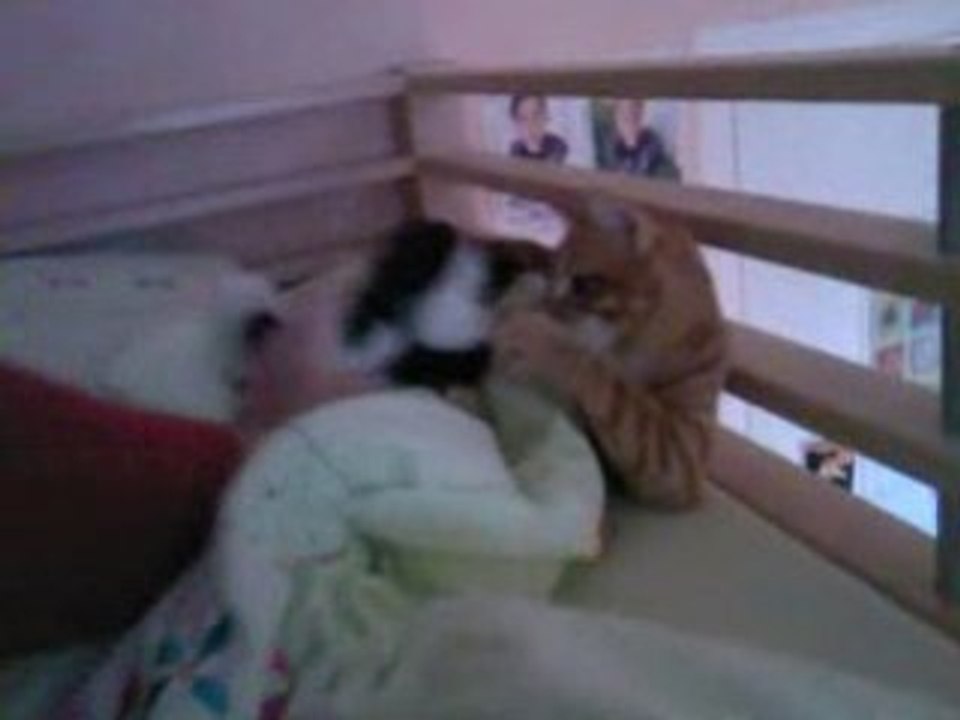 Bulle le souffre douleur x)