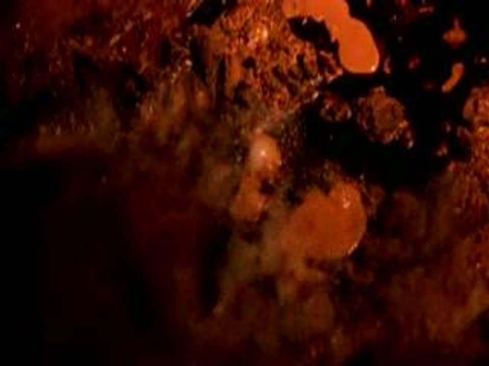 Pearl Jam Life Wasted