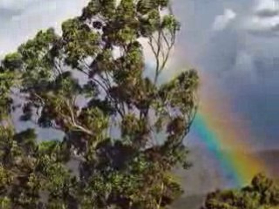 Rainbow
