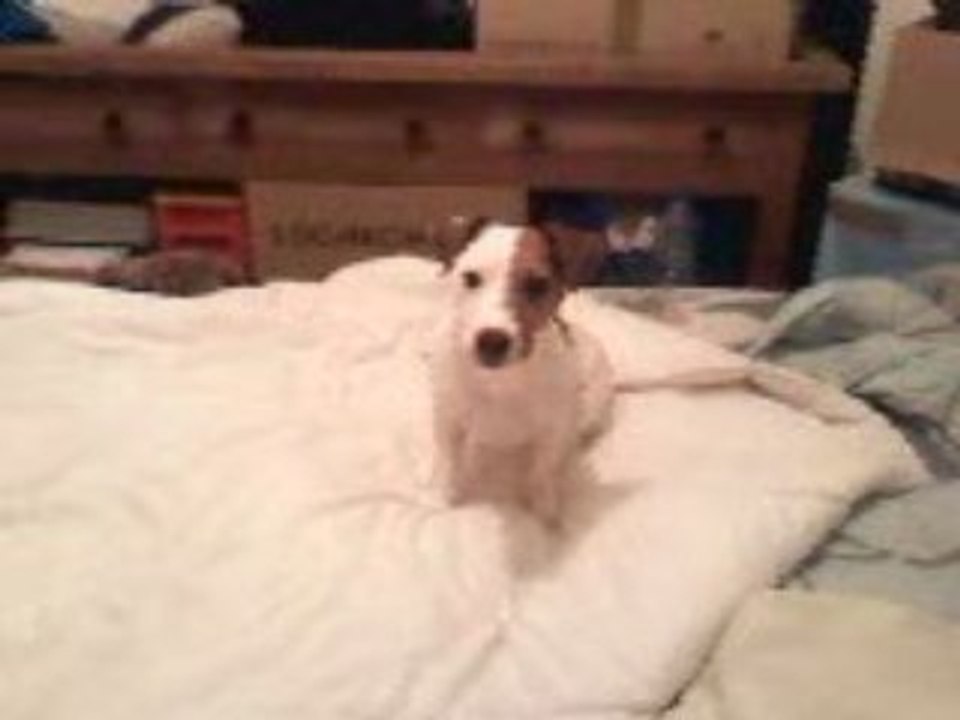 Cahuet n'aime les rires de bébés !