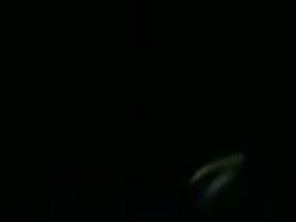 MOV00845