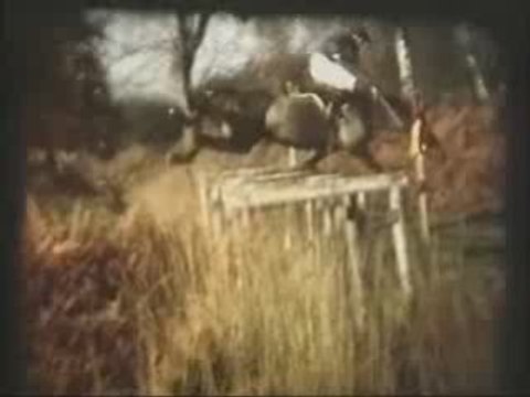 Chute CCE de PAU (1979)