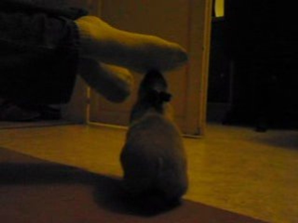 Cian' contre les chaussettes, le retour!