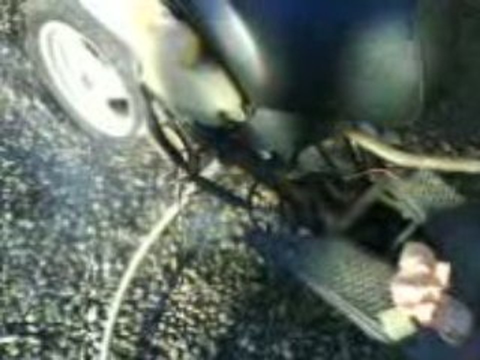 MOV00255