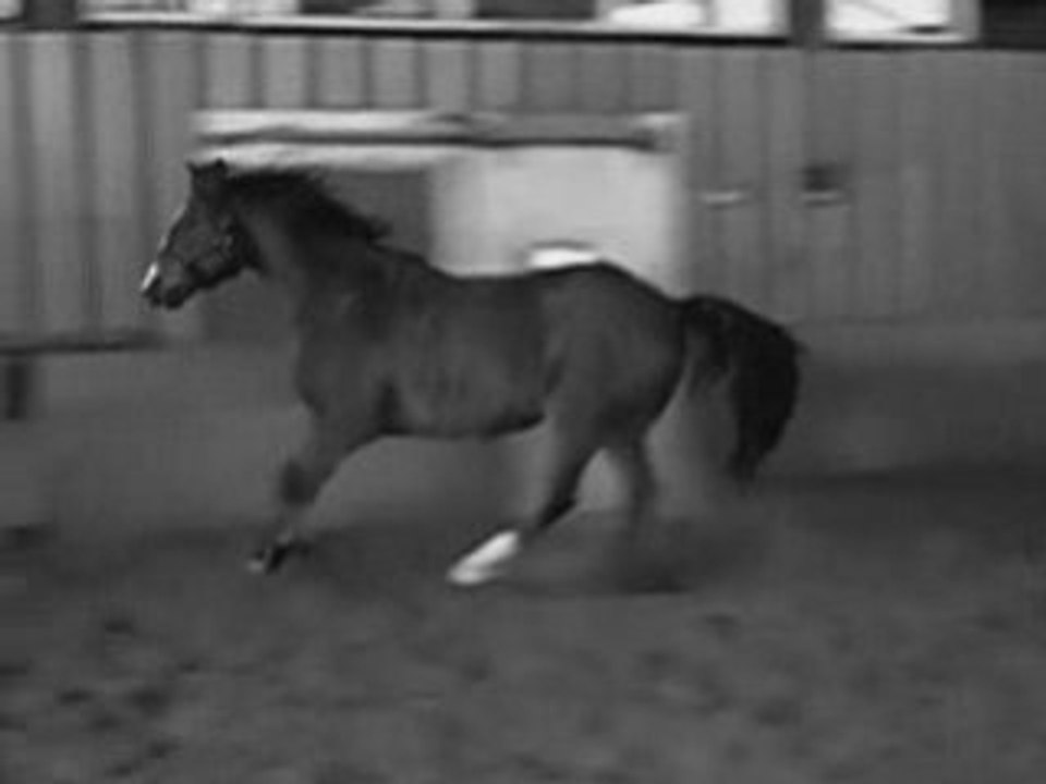 Une fin parmis tant d'autres...