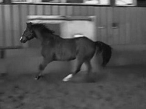 Une fin parmis tant d'autres...