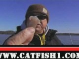 Winter Catfish Tips - Catfish Bait - Fishing Tips