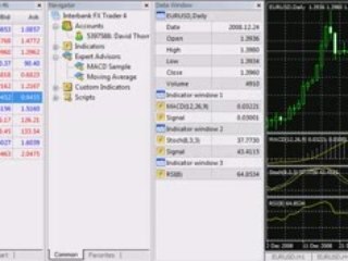 Forex Scams Revealed