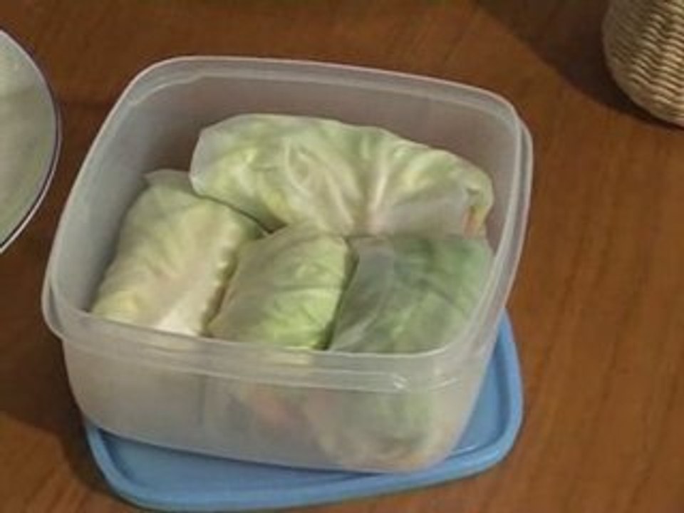 Rouleaux de printemps au surimi