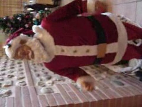 Ratus a rencontré le pere noel