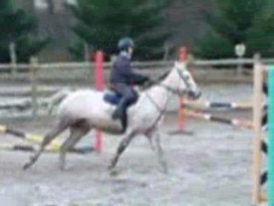 Entraînement dans le froid - décembre 2008