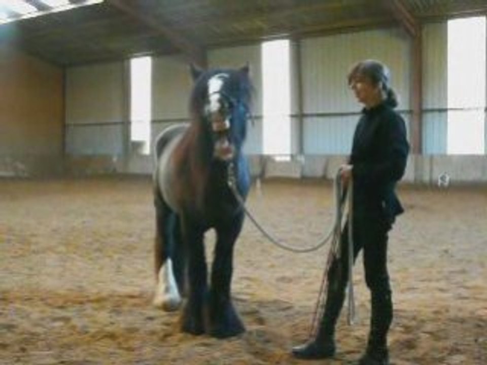 Premiere séance etho quartoon's