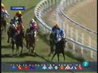 2008 (476) Premio Grupo Puchal (H) (GRAN FEUDO)