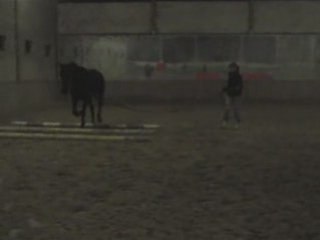 Barres au sol main gauche