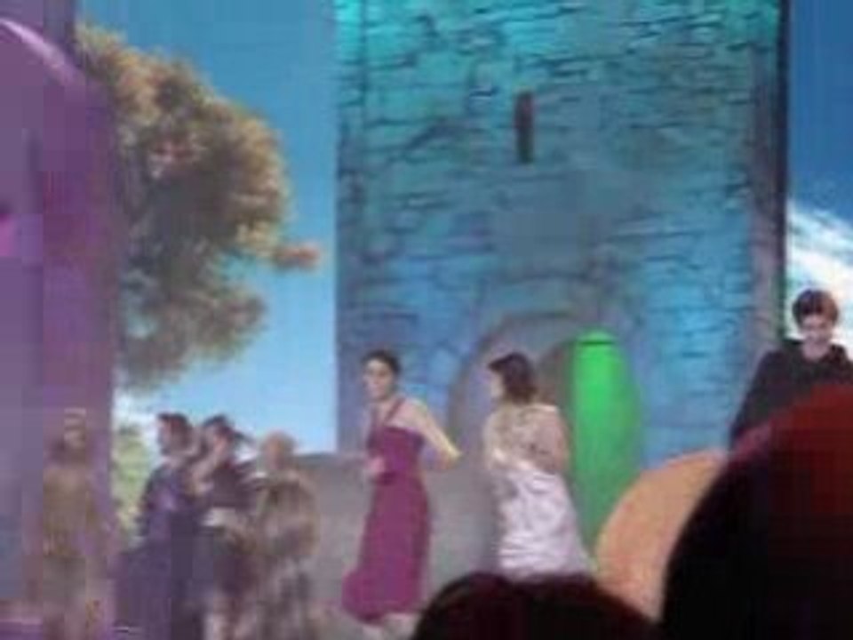 enfoires 2008 strasbourg