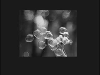 QUATRE ACCORDS  Ch7 Les choses dans sa tête