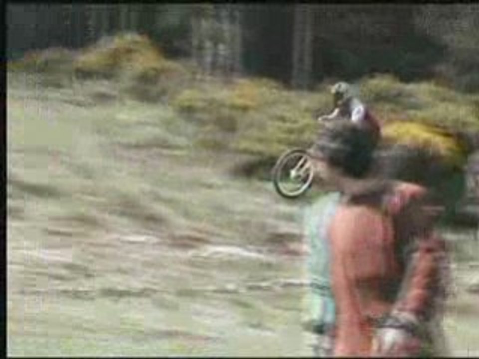 PINILLA 2007
